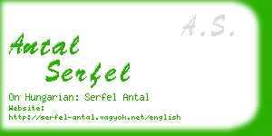 antal serfel business card